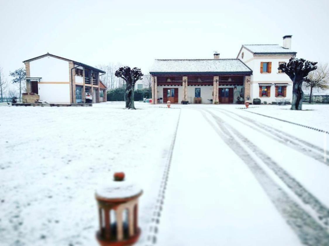Bed and Breakfast Rio Della Pila à San Martino di Lupari Extérieur photo